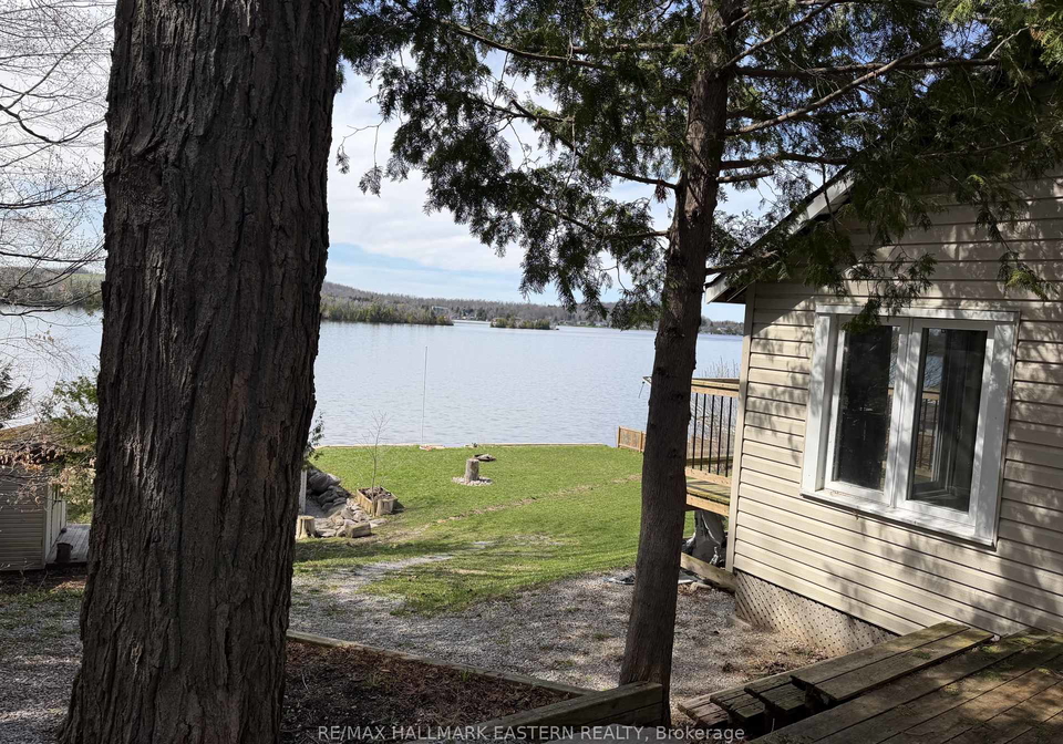 344-fife-avenue-selwyn-ontario-x13059572