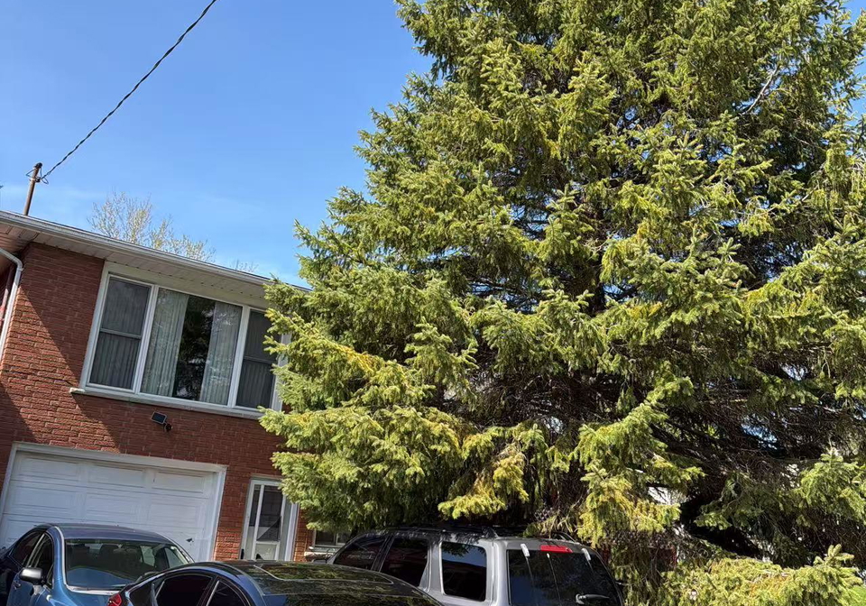 32-gale-crescent-st-catharines-ontario-x13060294