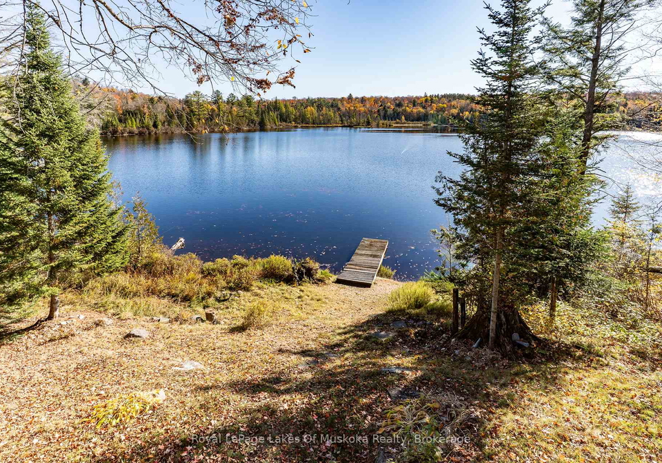 1119-grist-mill-lane-algonquin-highlands-ontario-x13066870