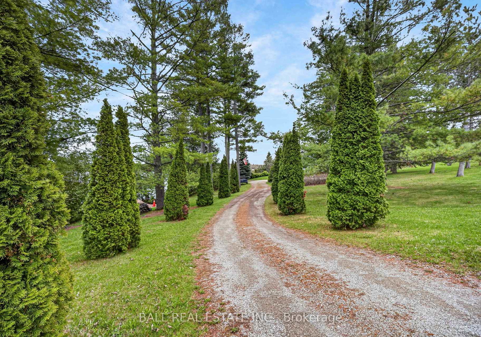 1725-youngs-point-road-selwyn-ontario-x13068208