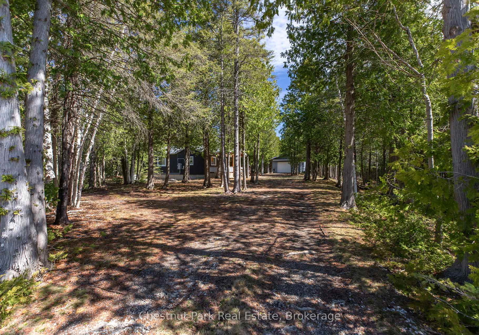 6760-highway-6-northern-bruce-peninsula-ontario-x13068924