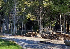 2916-shannonville-road-tyendinaga-ontario-x13073592