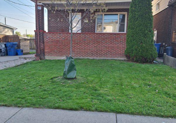 1165-elm-avenue-windsor-ontario-x13077058