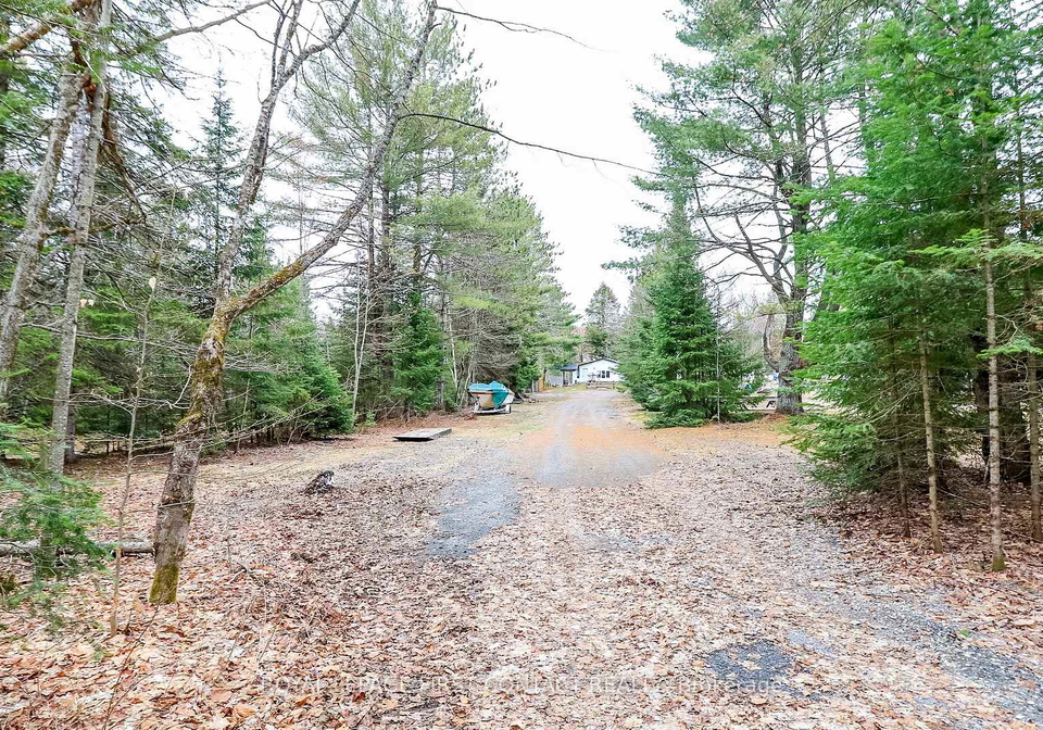 1088-colony-road-lake-of-bays-ontario-x13078982