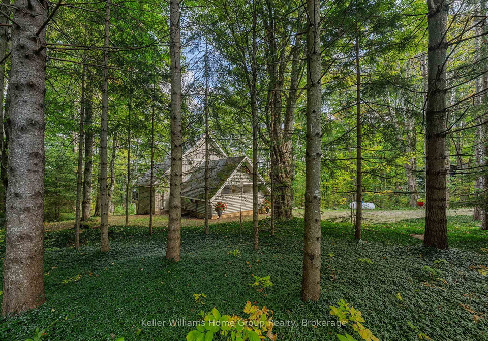 219-bowles-bluff-road-grey-highlands-ontario-x13079316