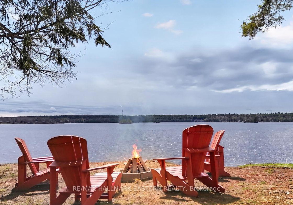 206-fire-route-96-trent-lakes-ontario-x13079710
