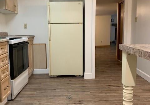 12-parkway-lower-avenue-kawartha-lakes-ontario-x13079730