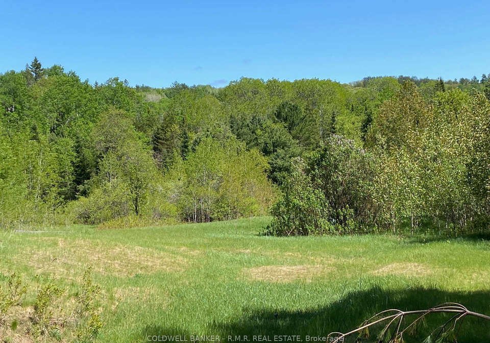 1274-holland-lake-road-bancroft-ontario-x13081508