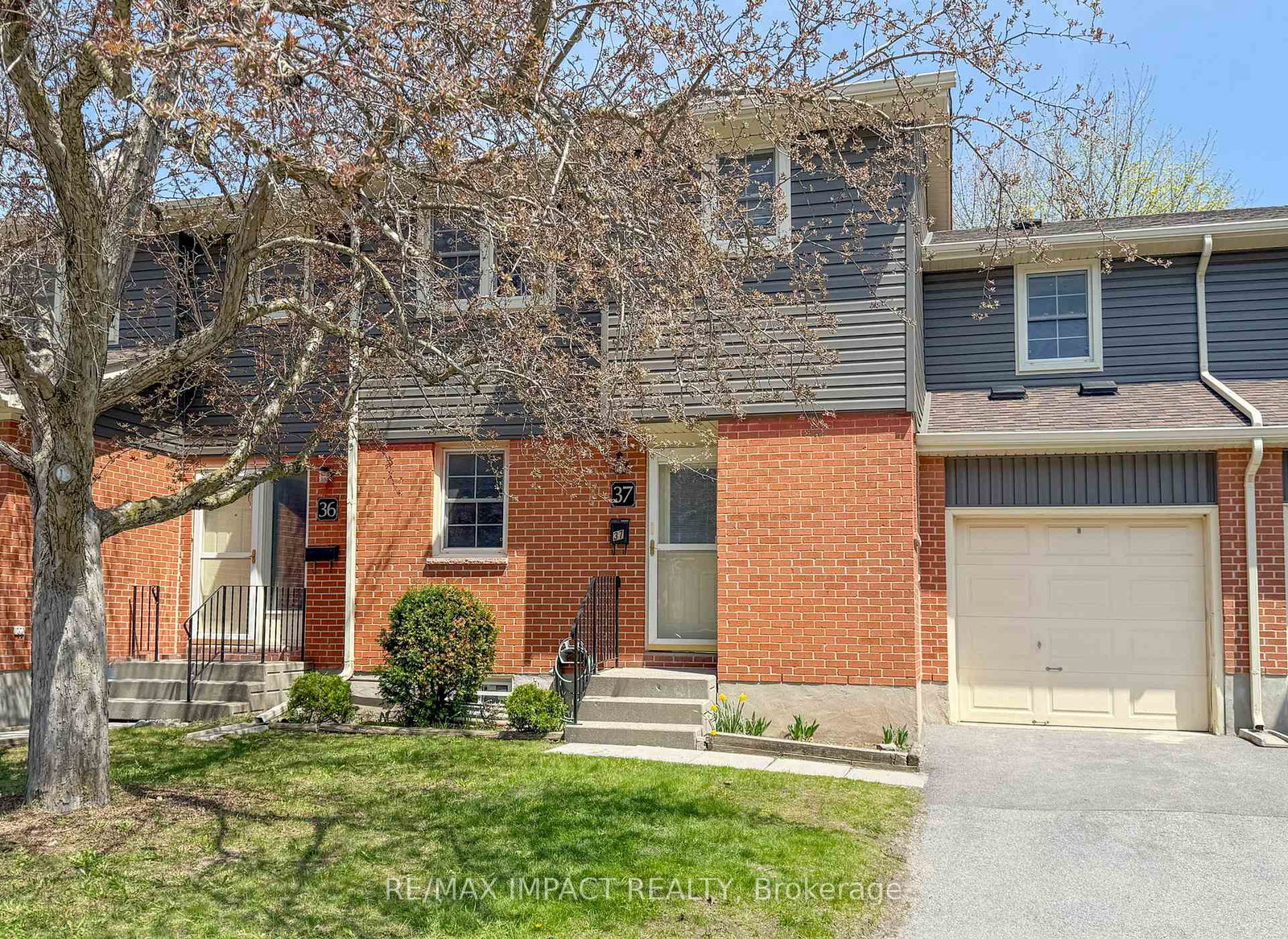 19-macpherson-avenue-kingston-ontario-x13088052