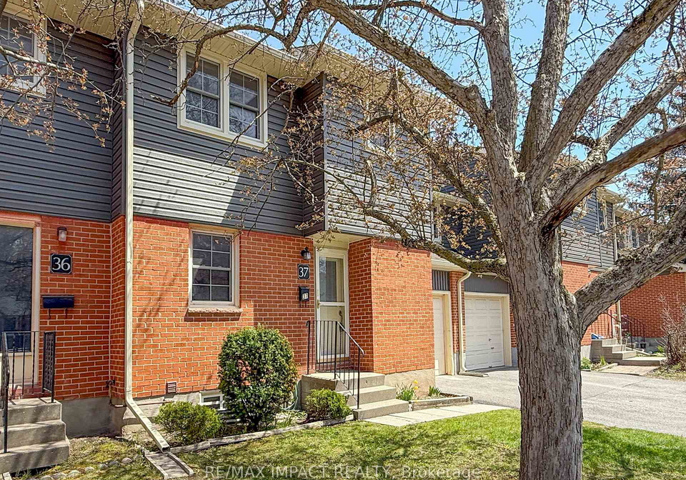 19-macpherson-avenue-kingston-ontario-x13088052