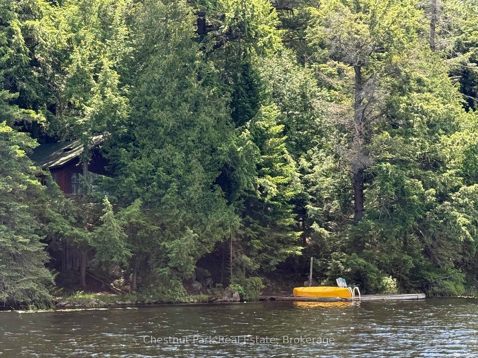 19-cache-lake-south-algonquin-ontario-x13088652