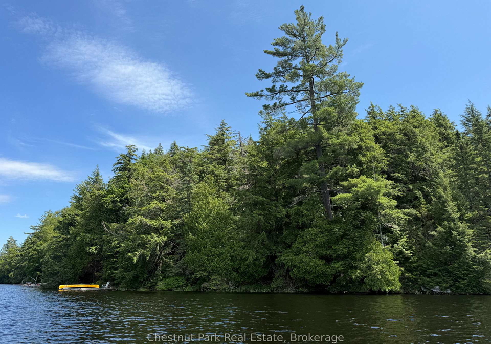 19-cache-lake-south-algonquin-ontario-x13088652