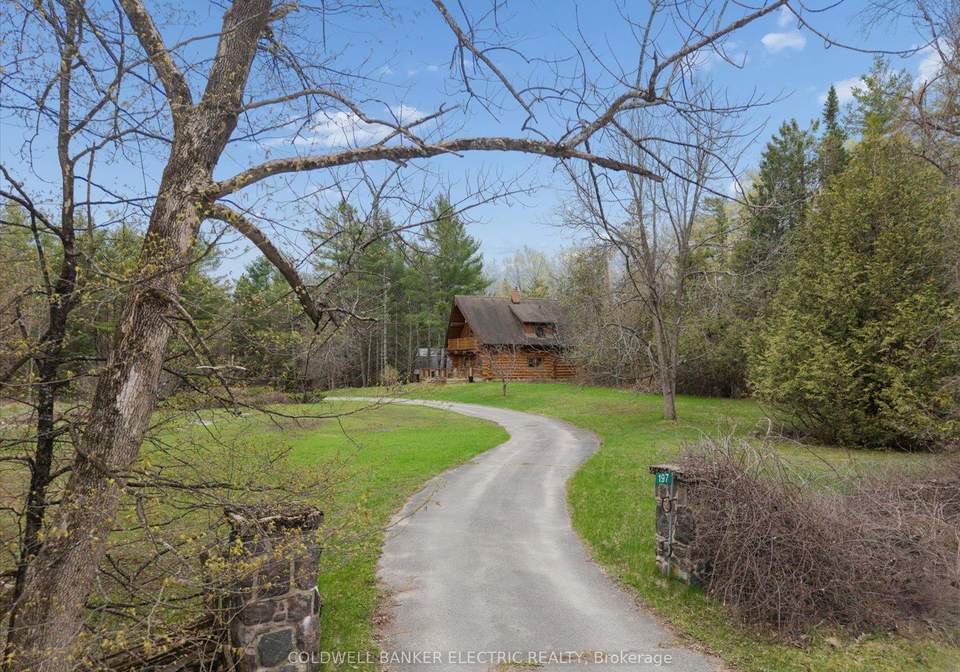 197-hillside-drive-kawartha-lakes-ontario-x13089560