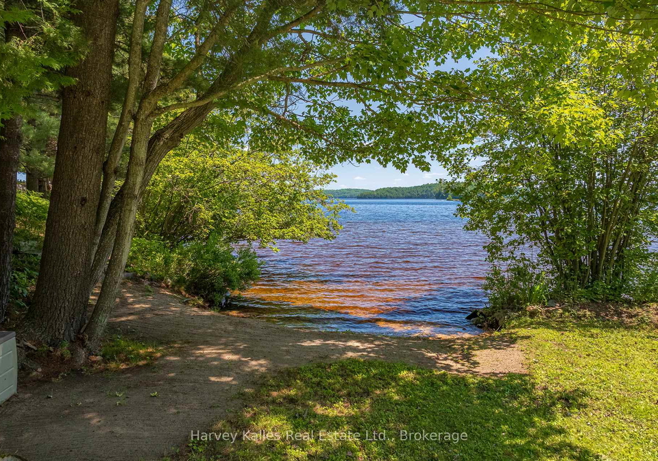 3661-south-portage-road-huntsville-ontario-x13091372