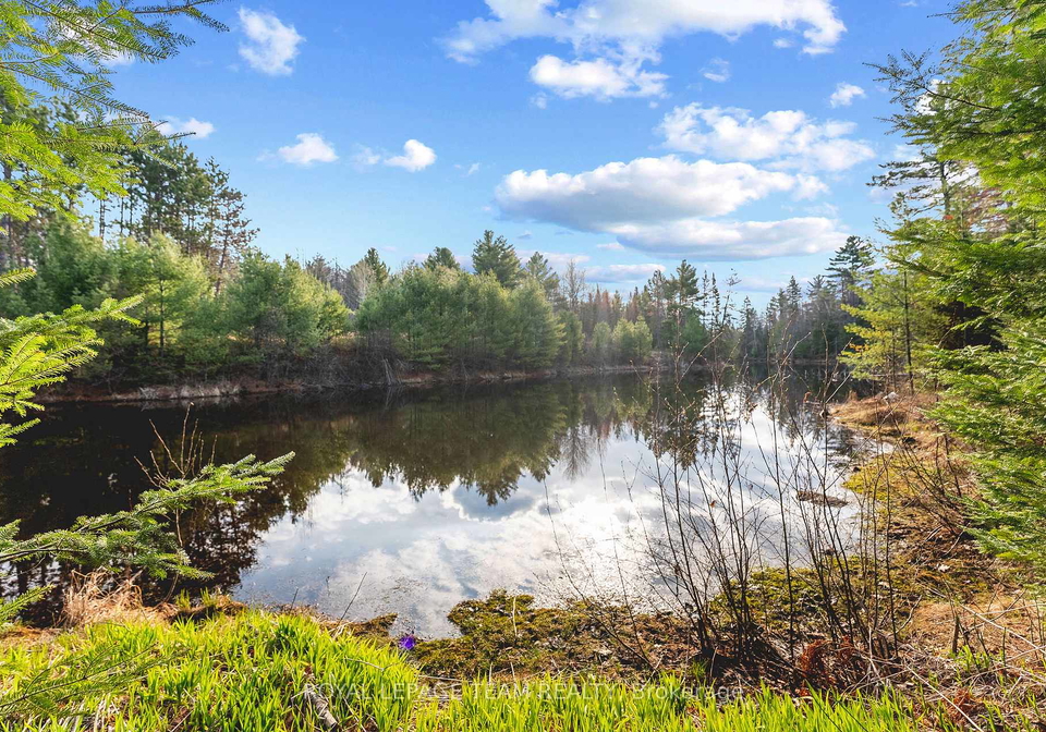 31-manning-road-bonnechere-valley-ontario-x13091396