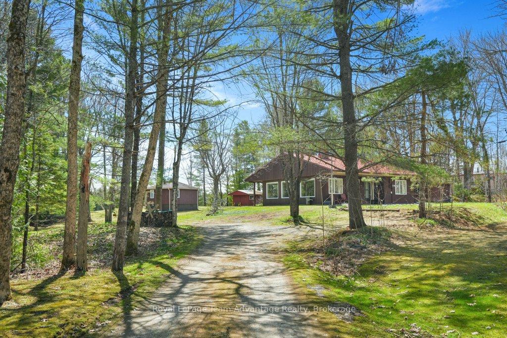 11-birch-lane-mcdougall-ontario-x13095610