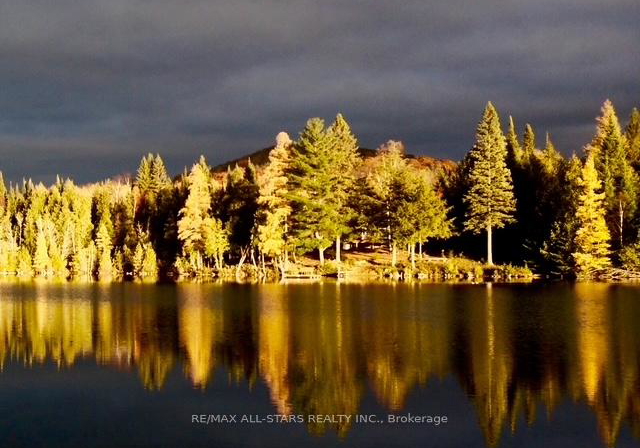 213-connemara-lane-greater-madawaska-ontario-x13096466