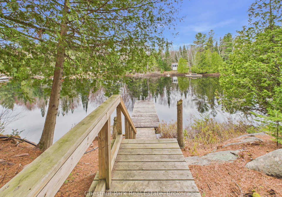 1299-dickie-lake-road-lake-of-bays-ontario-x13097658