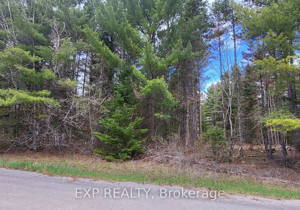 0-ginza-street-greater-madawaska-ontario-x13101200
