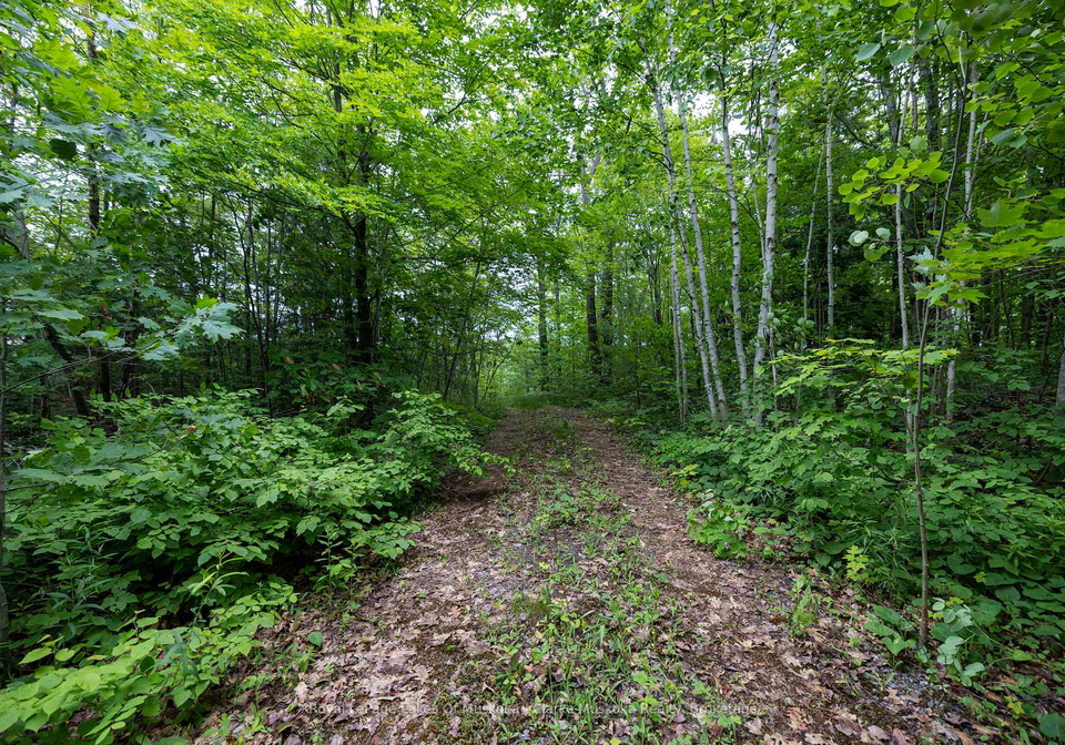 173-612-highway-seguin-ontario-x13101524