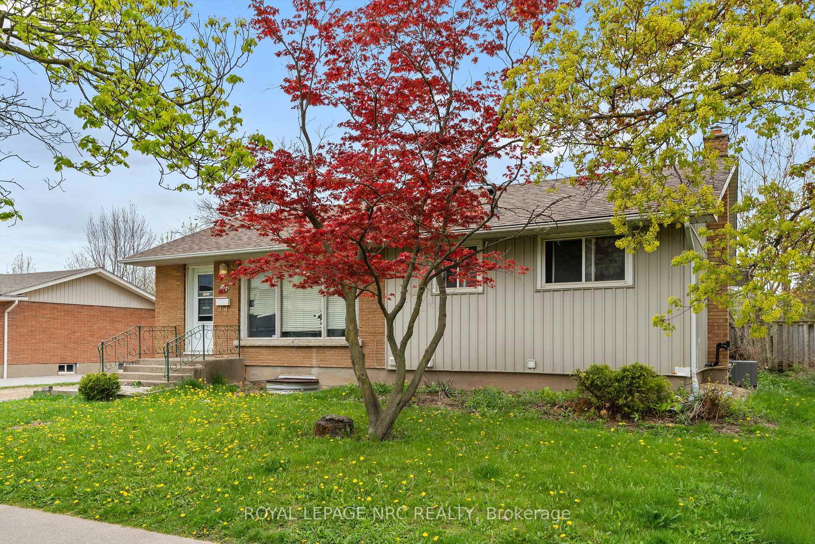 51-jacobson-avenue-st-catharines-ontario-x13102866