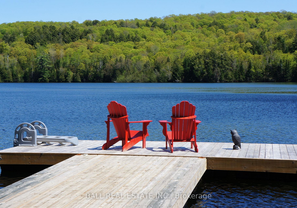 1142-cardiff-lake-road-highlands-east-ontario-x13102936