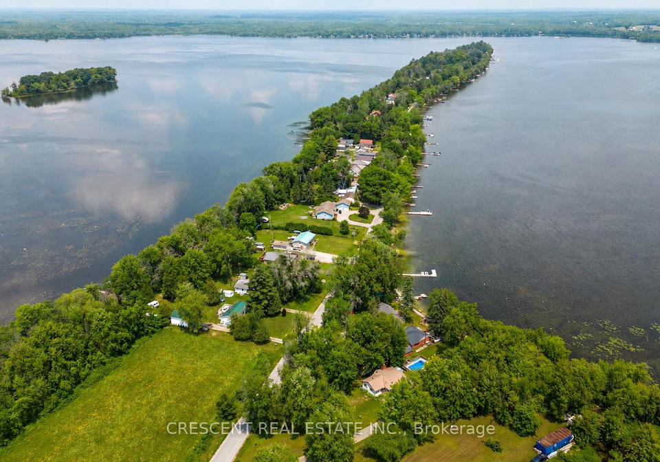 241-avery-point-road-kawartha-lakes-ontario-x13104492