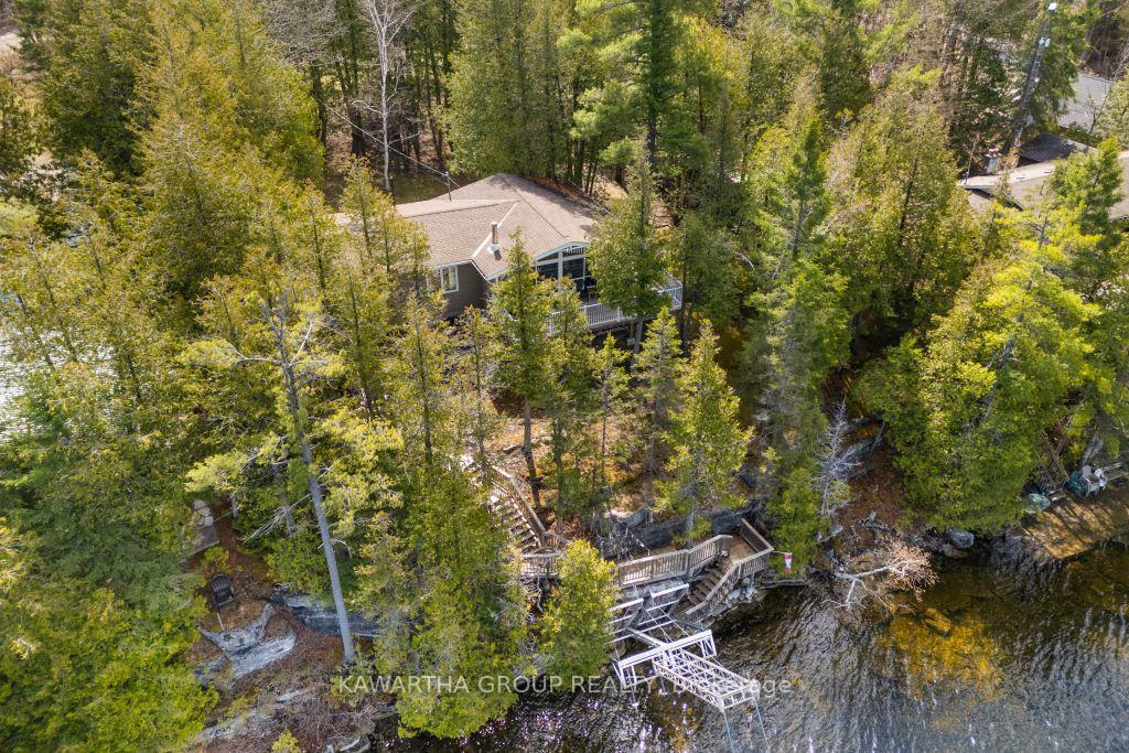 43-holy-bay-drive-kawartha-lakes-ontario-x13104888