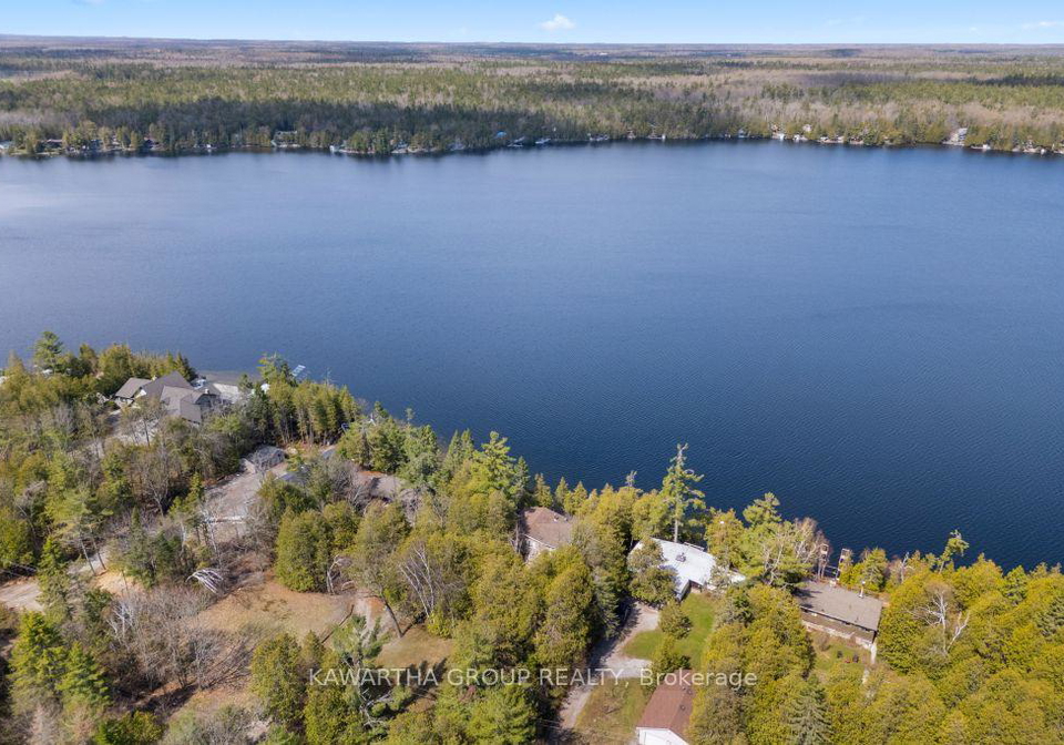 43-holy-bay-drive-kawartha-lakes-ontario-x13104888