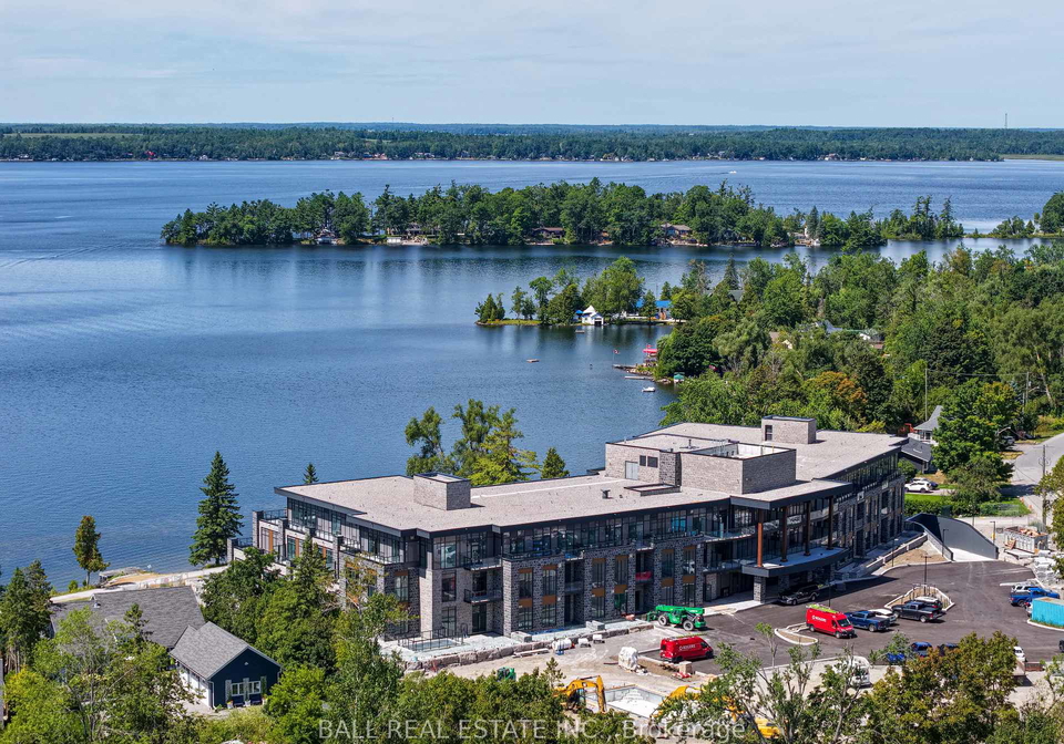 99-louisa-street-kawartha-lakes-ontario-x13105384
