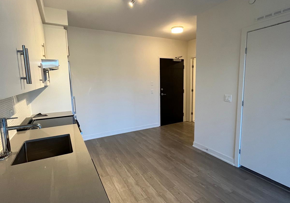 212-king-william-street-hamilton-ontario-x13107110