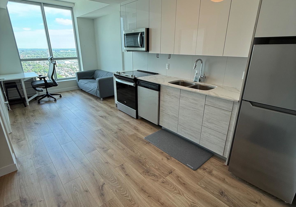 60-frederick-street-kitchener-ontario-x13107218
