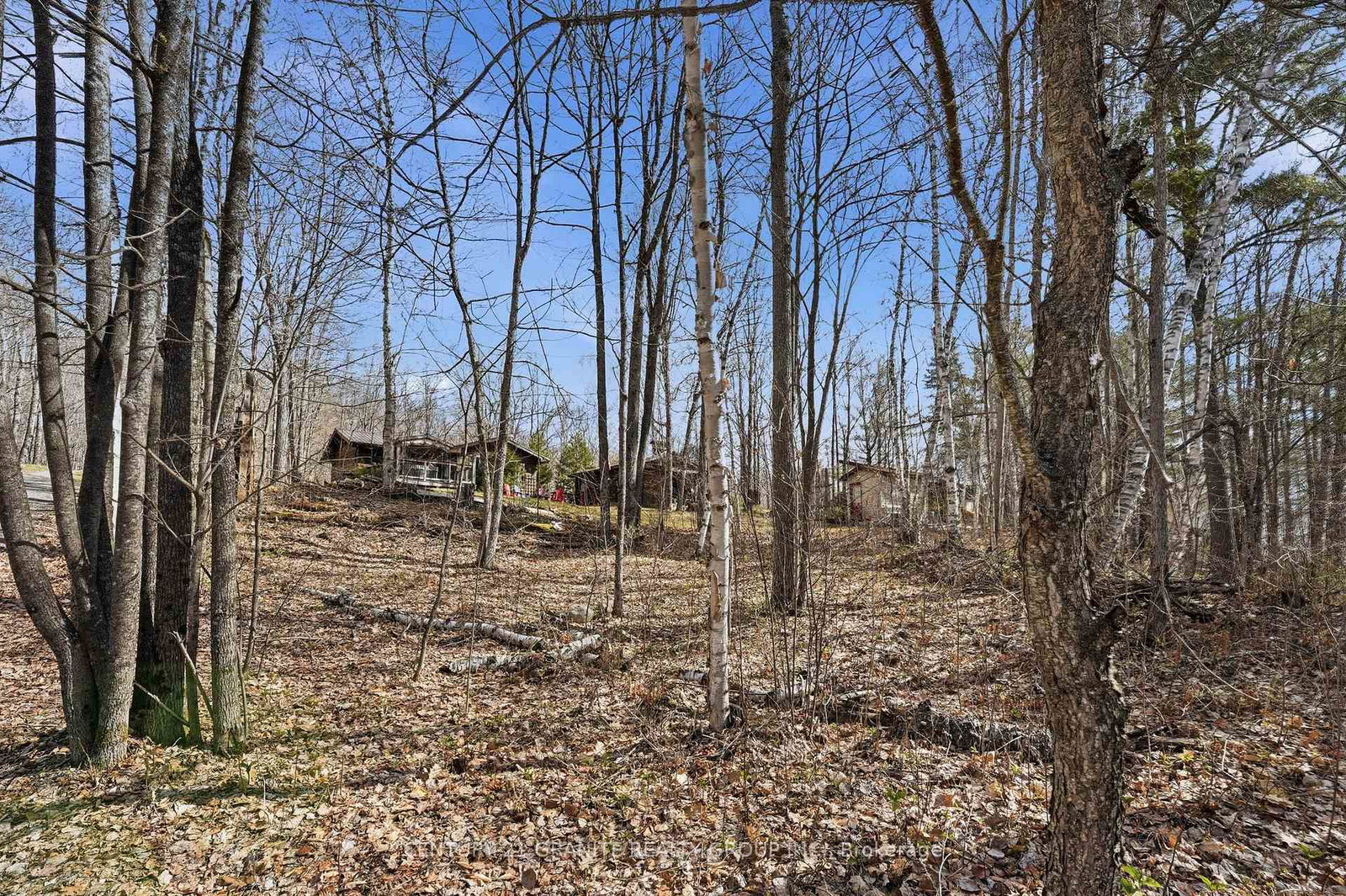 2349-n-baptise-lake-road-hastings-highlands-ontario-x13112316