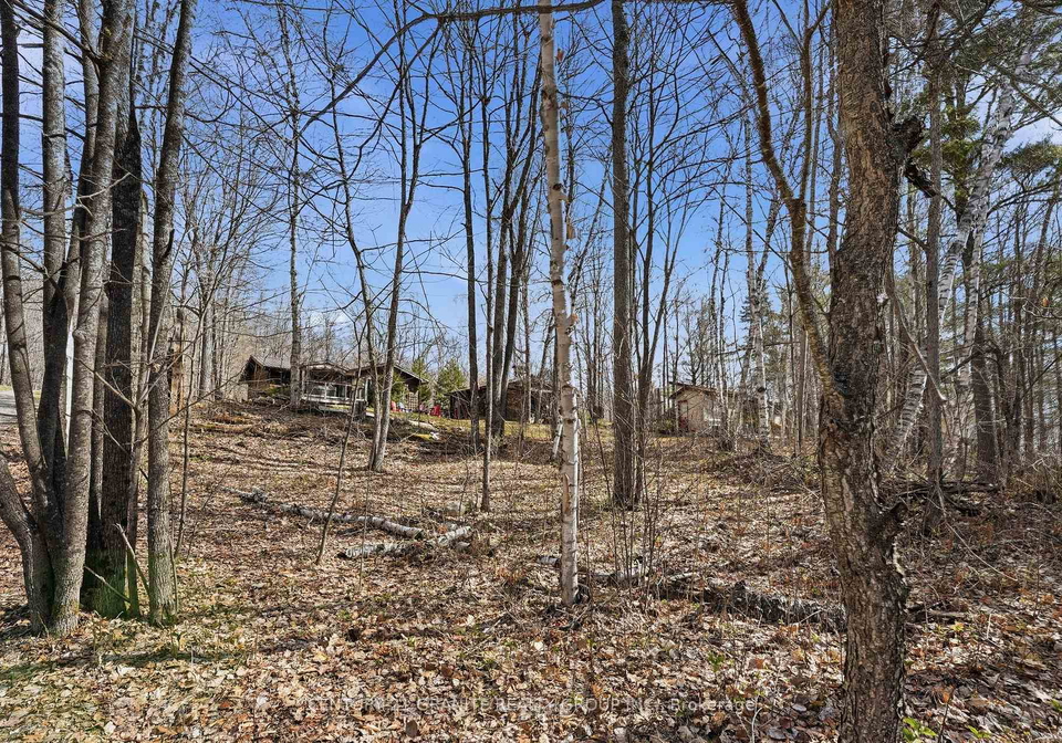 2349-n-baptise-lake-road-hastings-highlands-ontario-x13112316
