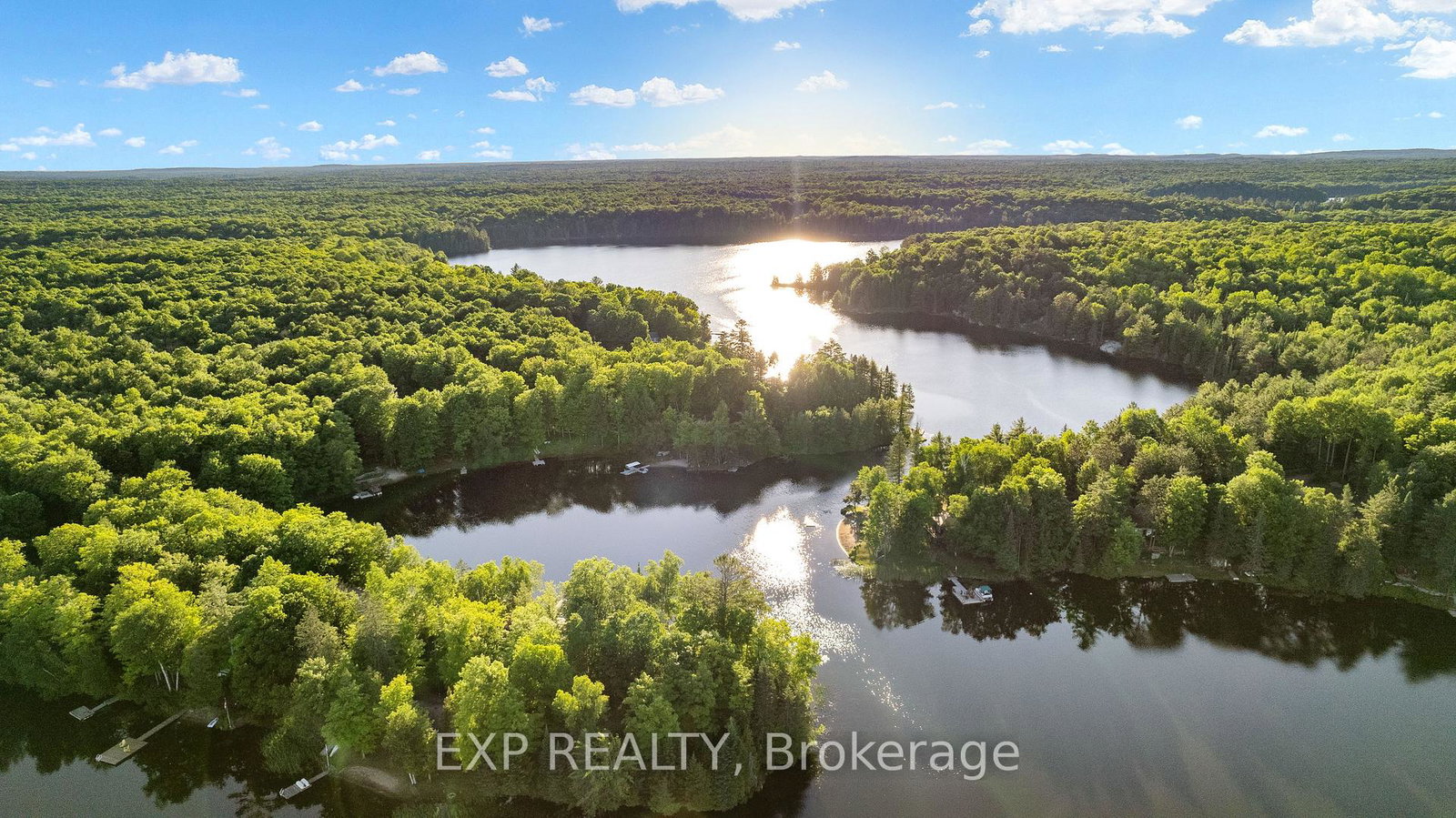 25-fire-route-296-route-trent-lakes-ontario-x13113586