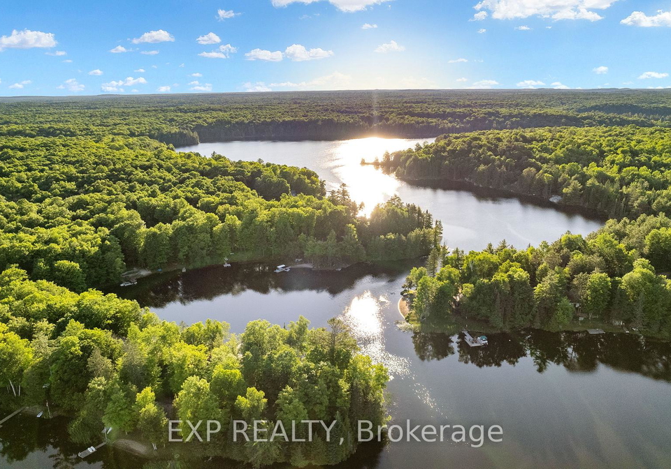 25-fire-route-296-route-trent-lakes-ontario-x13113586