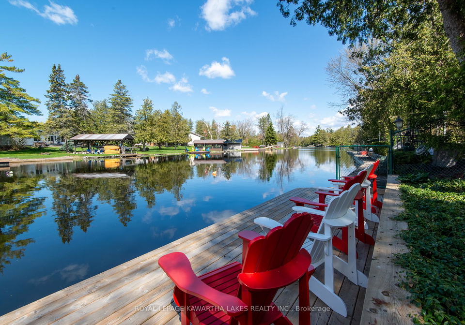 3-lagoon-drive-kawartha-lakes-ontario-x13114814