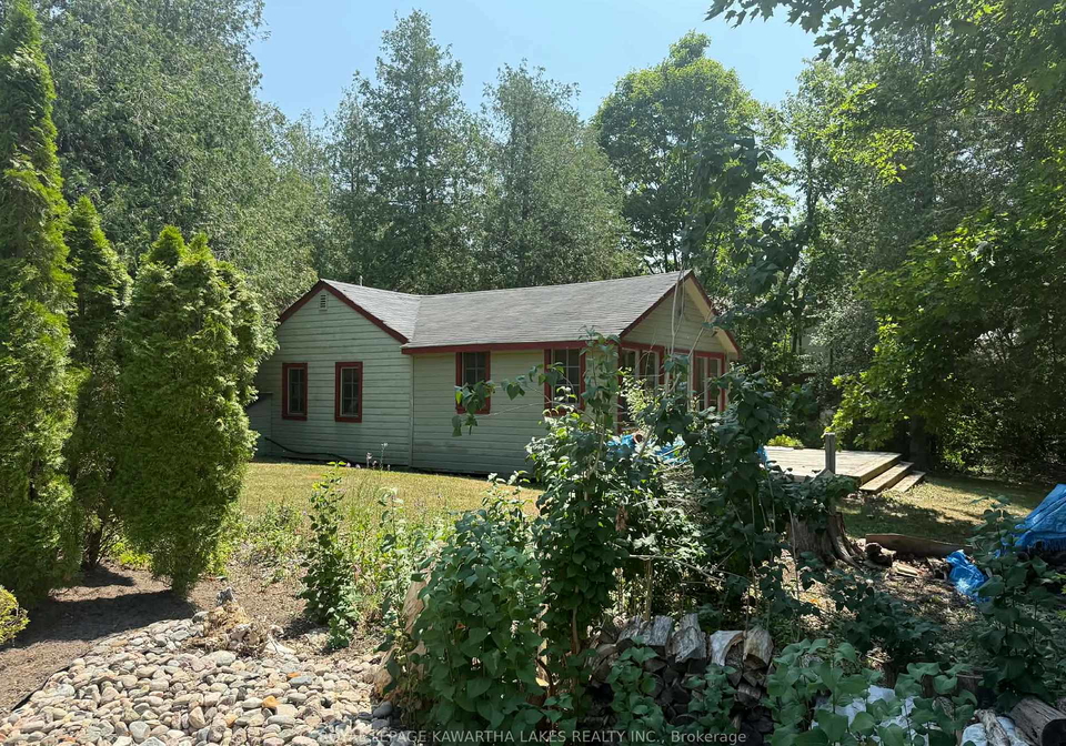 8-sturgeon-glen-road-kawartha-lakes-ontario-x13115740