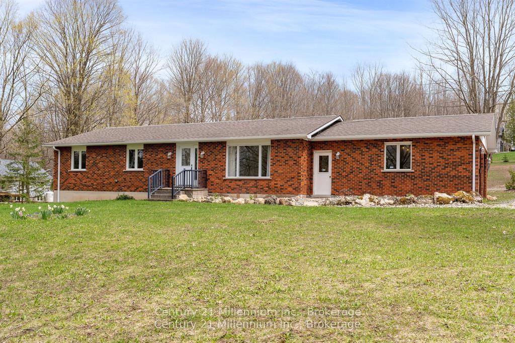 205-napoleon-street-grey-highlands-ontario-x13117226