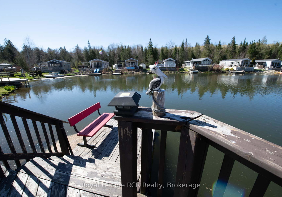 61-lakeside-street-wellington-north-ontario-x13117646