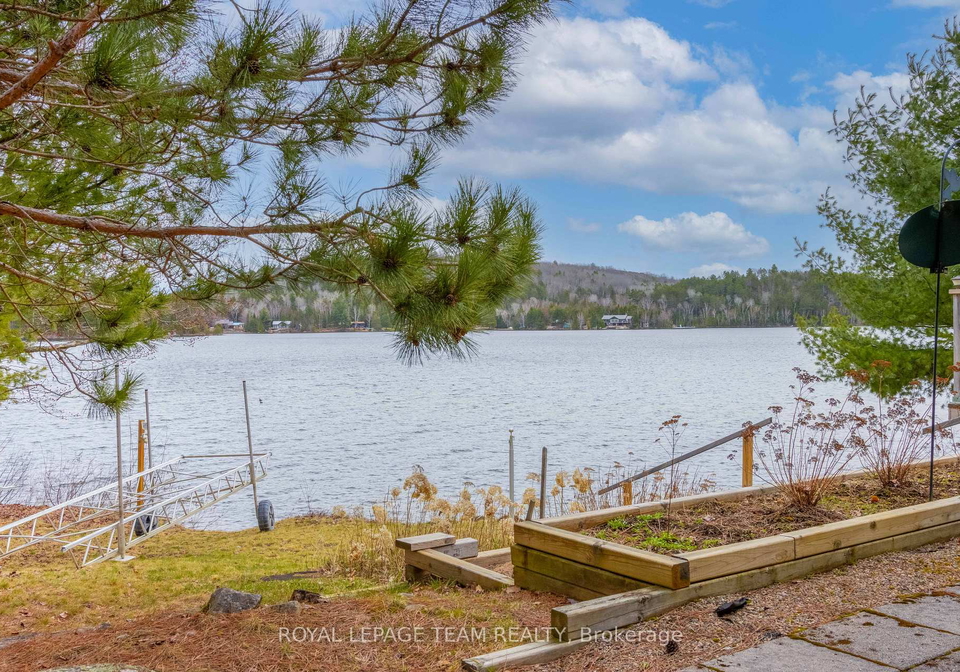 36-whites-road-south-algonquin-ontario-x13119088