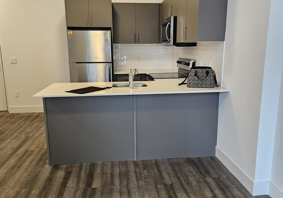 107-roger-street-waterloo-ontario-x13120974