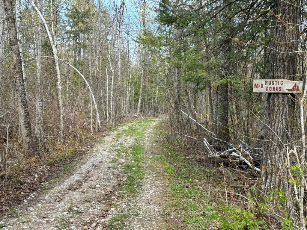 pt-lot-20-bessie-avenue-n-trent-lakes-ontario-x13121504
