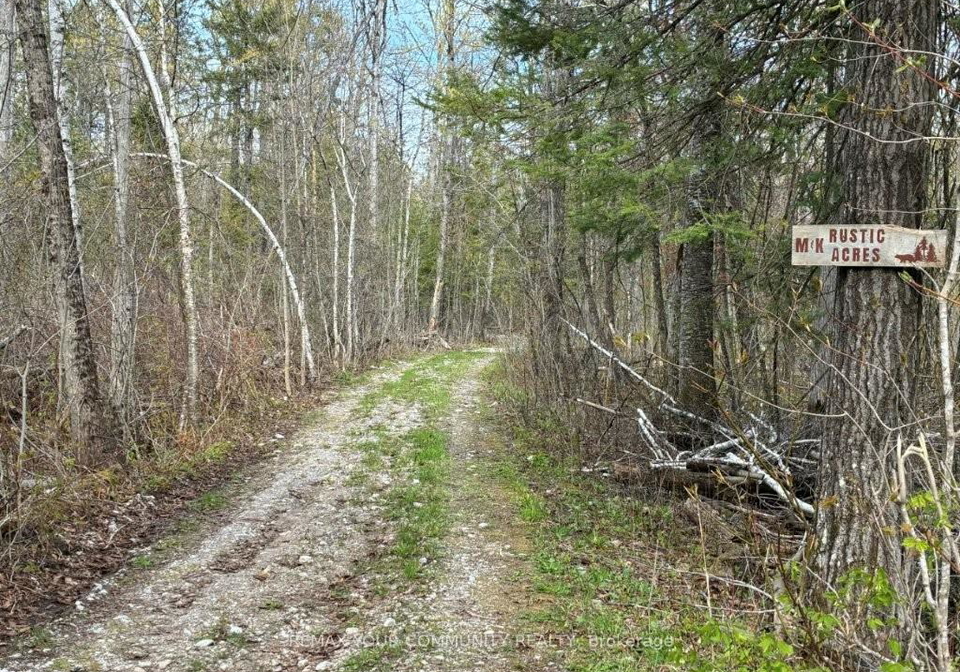 pt-lot-20-bessie-avenue-n-trent-lakes-ontario-x13121504