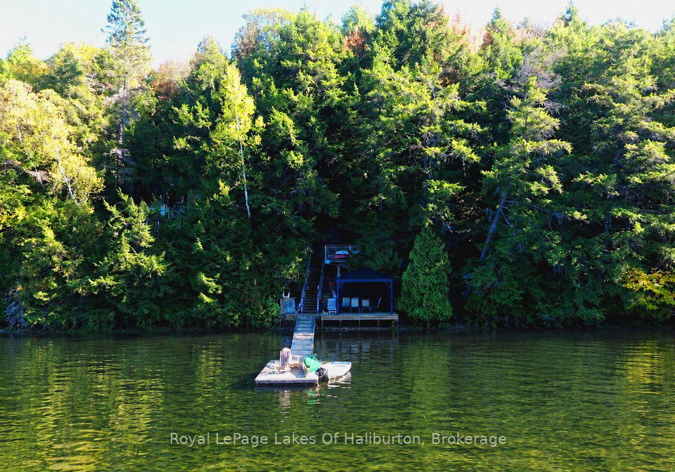 13303-little-hawk-lake-south-shore-algonquin-highlands-ontario-x13121576