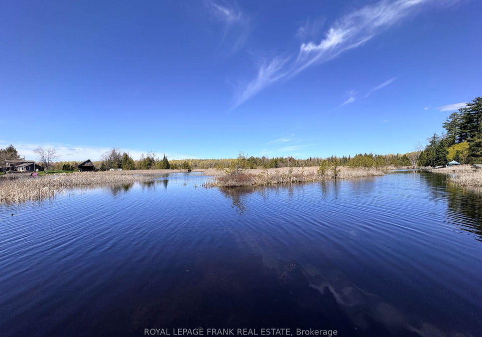 42-sunset-court-trent-lakes-ontario-x13122412
