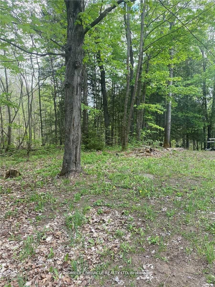 3460-harburn-road-dysart-et-al-ontario-x13122932