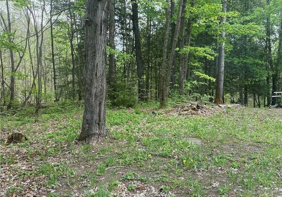 3460-harburn-road-dysart-et-al-ontario-x13122932