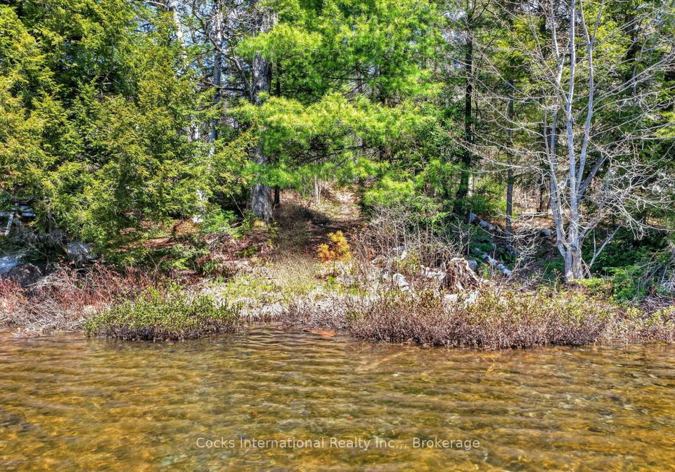 1165-spring-lake-road-bracebridge-ontario-x13123512
