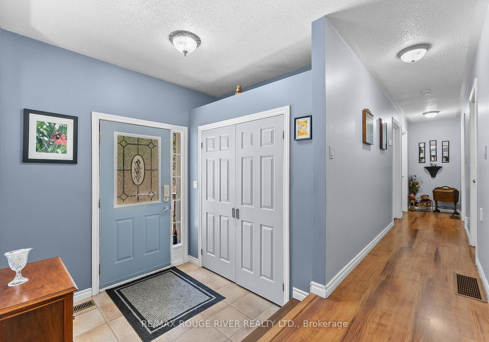 253-hass-road-carlowmayo-ontario-x13123528